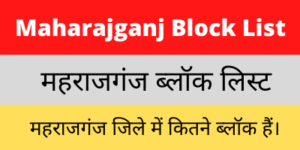Maharajganj Block List
