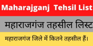 Maharajganj Tehsil List