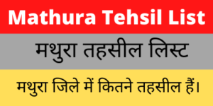 Mathura Tehsil List