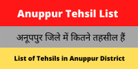 Anuppur Tehsil List
