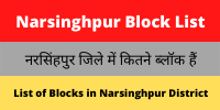 Narsinghpur Block List