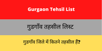 Gurgaon Tehsil List