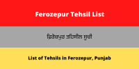 Ferozepur Tehsil List