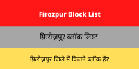 Firozpur Block List