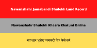 Nawanshahr Jamabandi Bhulekh Land Record
